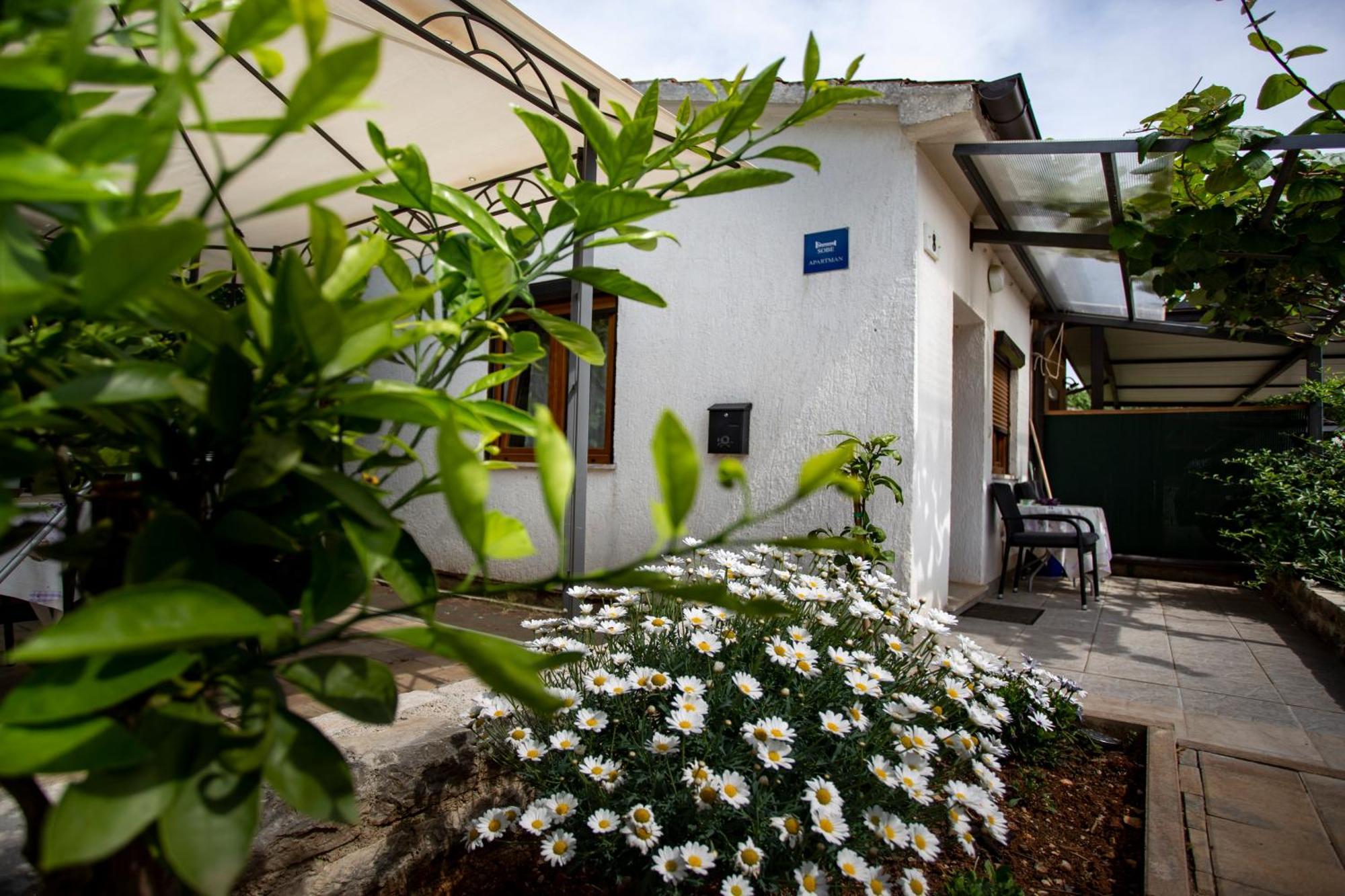 Apartments Ina & Ika Rovinj Exterior photo